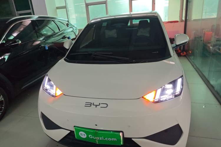 Used BYD Seagull 2025 Smart Drive Version 305 km Freedom Edition Front