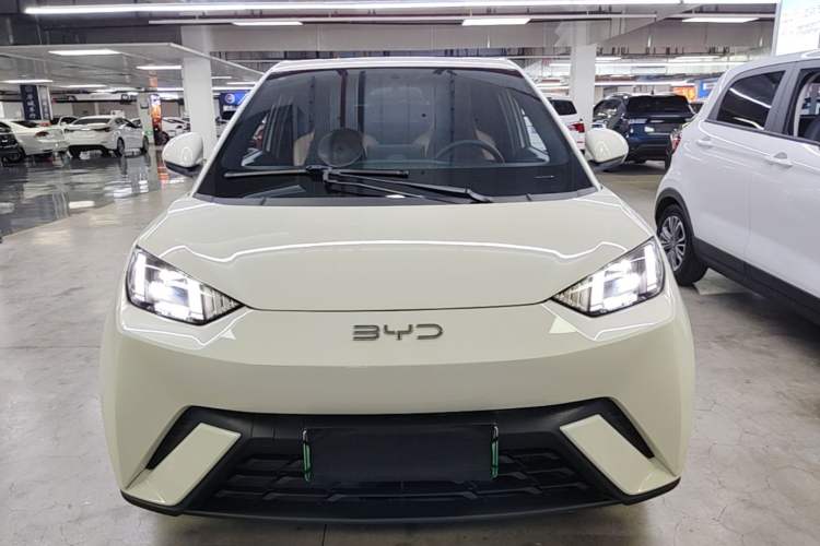 Used BYD Seagull 2025 305 km Free Version Front