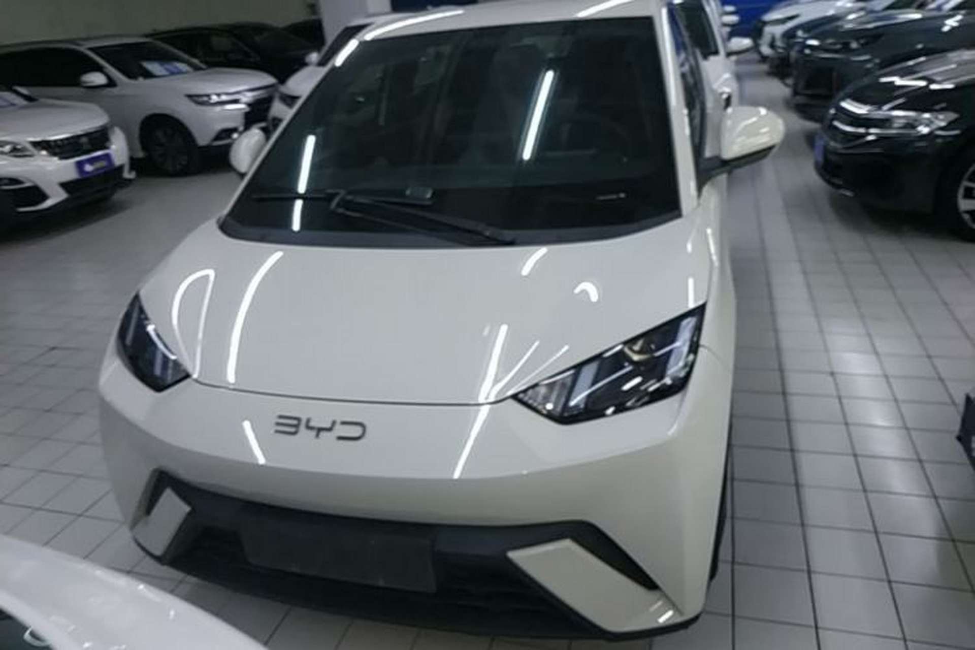 Used BYD Seagull 2025 305km Active Version Front