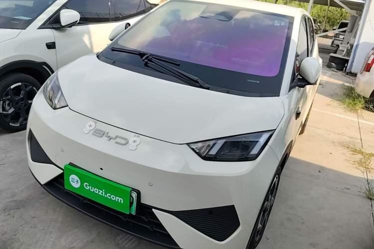 BYD Seagull 2025 Smart Drive Version 305 km Freedom Edition