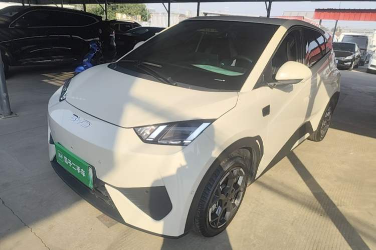 BYD Seagull 2025 Smart Drive Version 305 km Freedom Edition