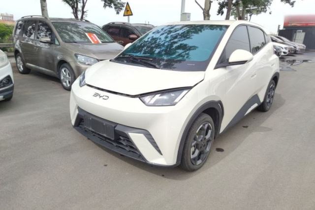 Used BYD Seagull 2025 305 km Free Version