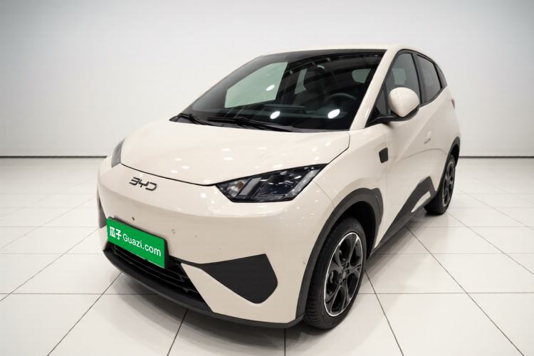 BYD Seagull 2025 Smart Drive Version 305 km Freedom Edition