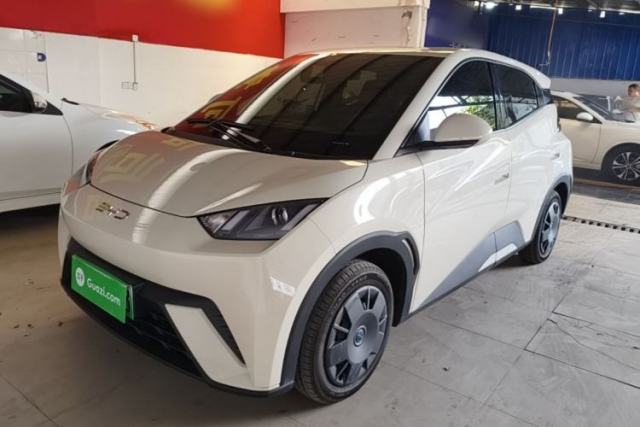 BYD Seagull 2025 305km Active Version usado