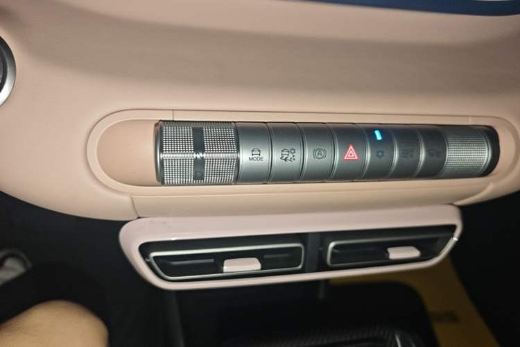 Used BYD Seagull 2025 305km Active Version Gear Lever