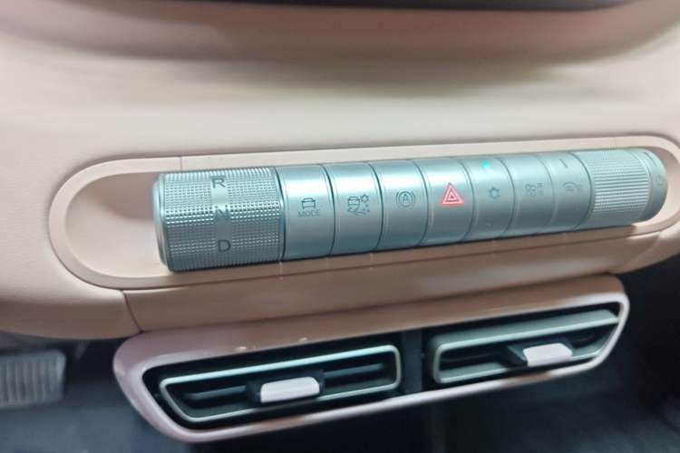Used BYD Seagull 2025 305 km Free Version Gear Lever