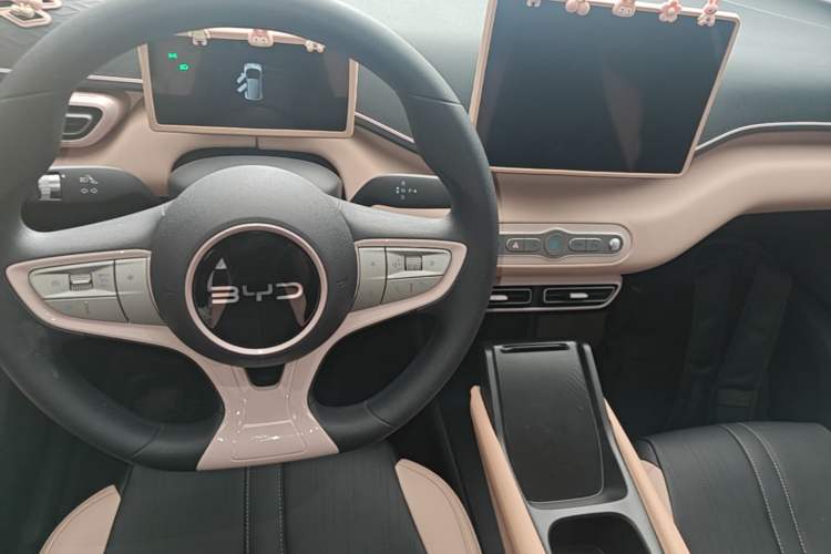Used BYD Seagull 2025 Intelligent Driving Version 305 km Dynamic Edition Gear Lever