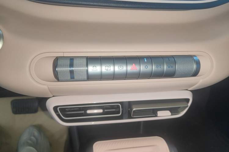 Used BYD Seagull 2025 305 km Free Version Gear Lever