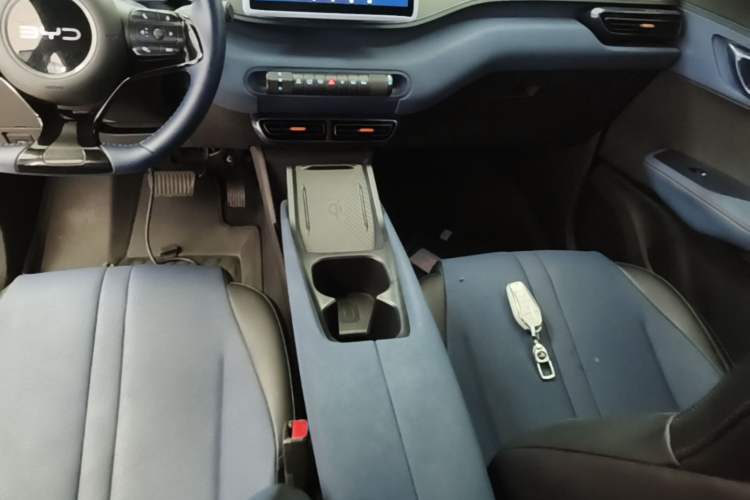 Used BYD Seagull 2025 305 km Free Version Gear Lever