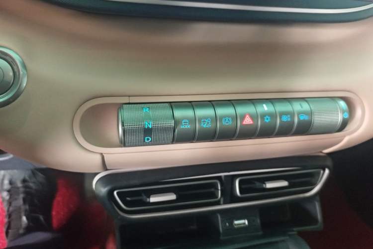 Used BYD Seagull 2025 305 km Free Version Gear Lever