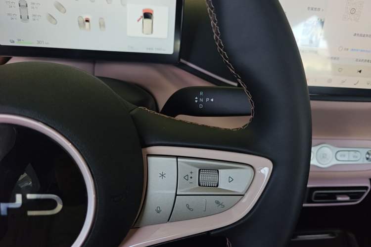Used BYD Seagull 2025 Smart Drive Version 305 km Freedom Edition Gear Lever