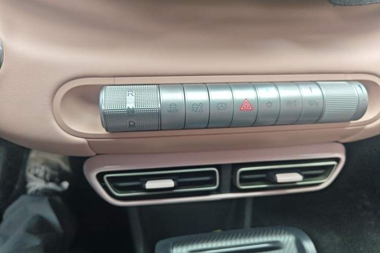 Used BYD Seagull 2025 305 km Free Version Gear Lever
