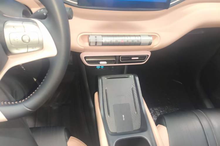 Used BYD Seagull 2025 305 km Free Version Gear Lever