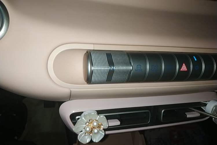 Used BYD Seagull 2025 305km Active Version Gear Lever