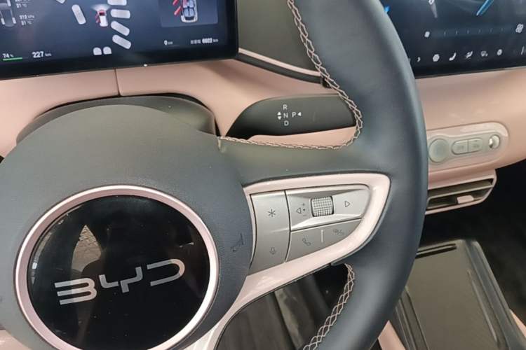 Used BYD Seagull 2025 Smart Drive Version 305 km Freedom Edition Gear Lever