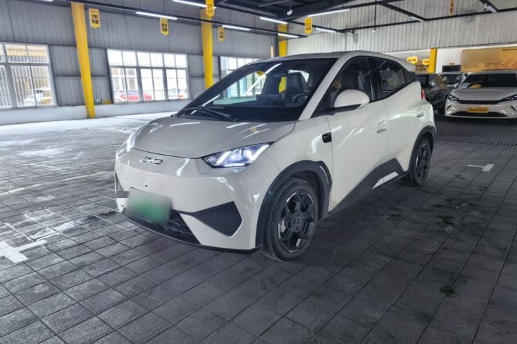 Used BYD Seagull 2025 Smart Drive Version 305 km Freedom Edition Guazi used car, China used car export, Used car for sale, Used cars, Cheapest cars for sale
