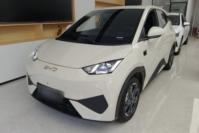 Used BYD Seagull 2025 Smart Drive Version 305 km Freedom Edition