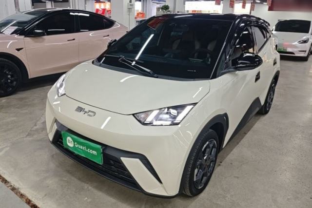 Used BYD Seagull 2025 305 km Free Version