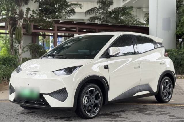Used BYD Seagull 2025 Smart Drive Version 305 km Freedom Edition