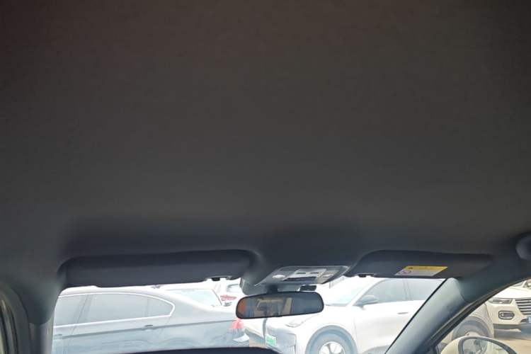 Used BYD Seagull 2025 Intelligent Driving Version 305 km Dynamic Edition Headliner