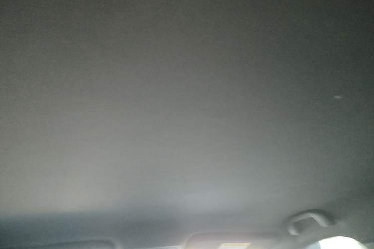 Used BYD Seagull 2025 Intelligent Driving Version 305 km Dynamic Edition Headliner