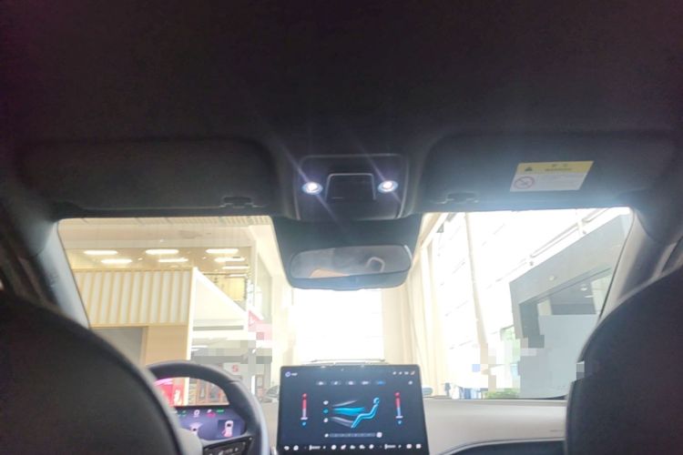Used BYD Seagull 2025 Smart Drive Version 305 km Freedom Edition Headliner