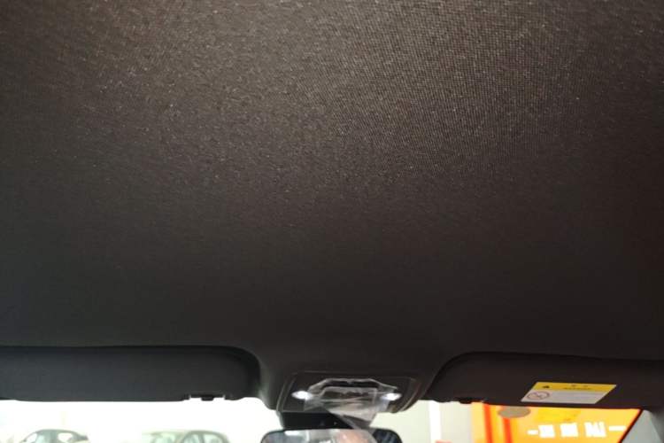 Used BYD Seagull 2025 Intelligent Driving Version 305 km Dynamic Edition Headliner