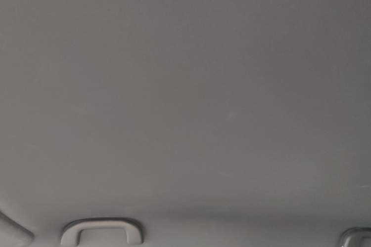 Used BYD Seagull 2025 Intelligent Driving Version 305 km Dynamic Edition Headliner