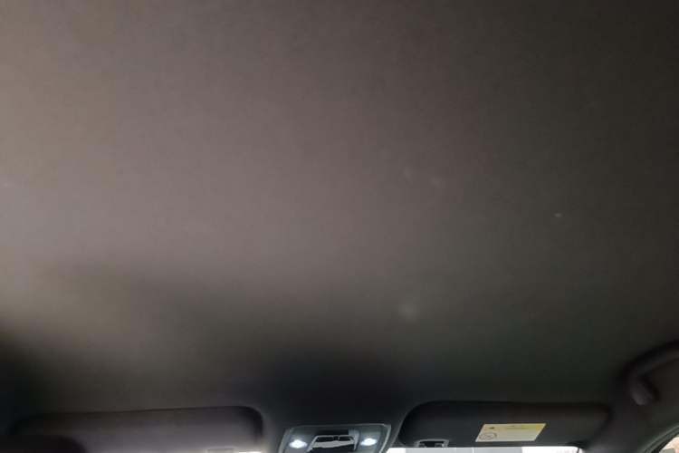 Used BYD Seagull 2025 Intelligent Driving Version 305 km Dynamic Edition Headliner
