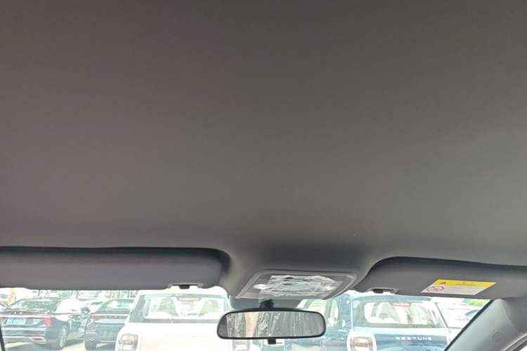 Used BYD Seagull 2025 Intelligent Driving Version 305 km Dynamic Edition Headliner