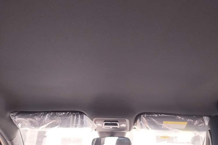 Used BYD Seagull 2025 Model Smart Drive Version 405km Free-Spirited Version Headliner