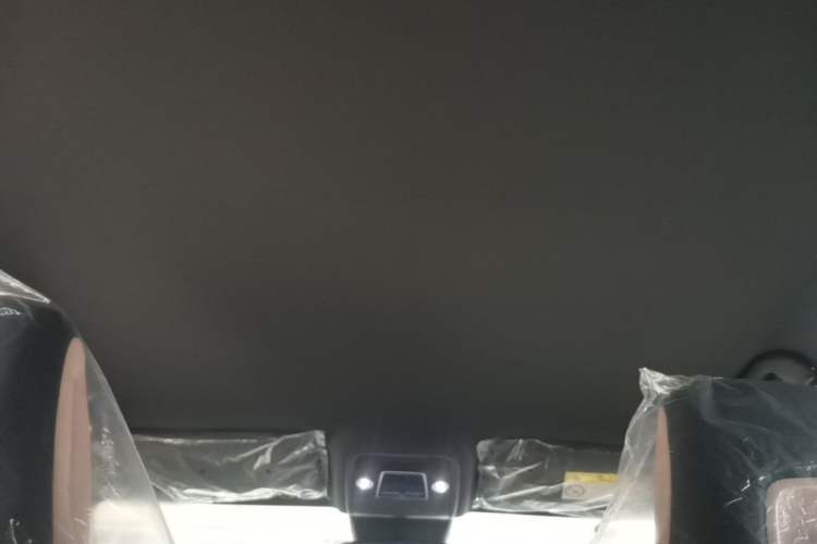 Used BYD Seagull 2025 Intelligent Driving Version 305 km Dynamic Edition Headliner
