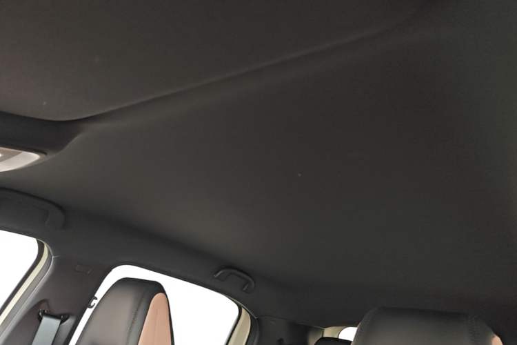 Used BYD Seagull 2025 Intelligent Driving Version 305 km Dynamic Edition Headliner