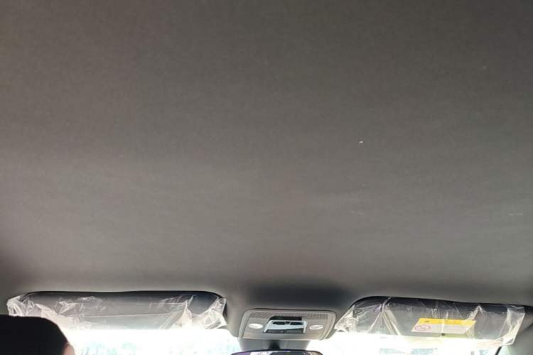 Used BYD Seagull 2025 Intelligent Driving Version 305 km Dynamic Edition Headliner