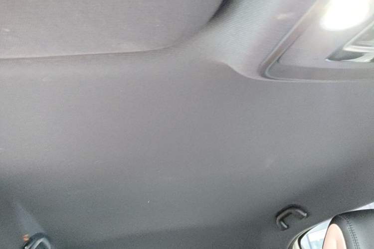 Used BYD Seagull 2025 Intelligent Driving Version 305 km Dynamic Edition Headliner