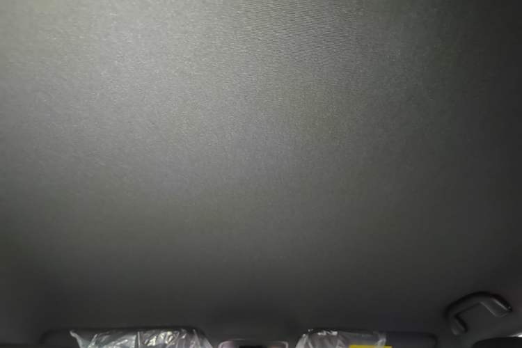 Used BYD Seagull 2025 Intelligent Driving Version 305 km Dynamic Edition Headliner