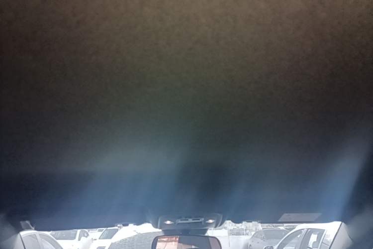 Used BYD Seagull 2025 Intelligent Driving Version 305 km Dynamic Edition Headliner