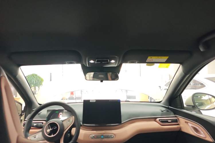 Used BYD Seagull 2025 Smart Drive Version 305 km Freedom Edition Headliner