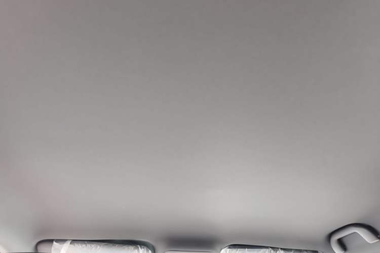 Used BYD Seagull 2025 Intelligent Driving Version 305 km Dynamic Edition Headliner