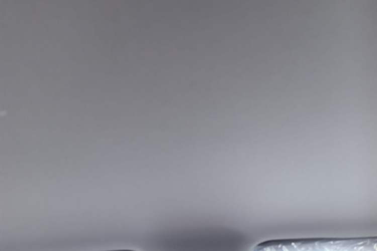 Used BYD Seagull 2025 Intelligent Driving Version 305 km Dynamic Edition Headliner