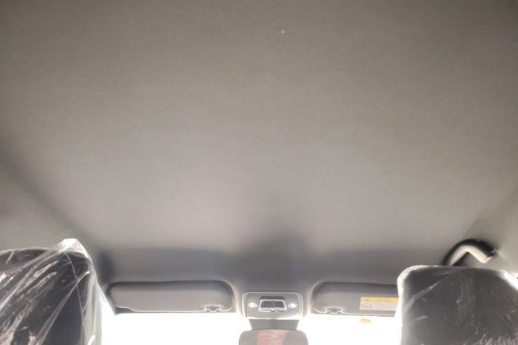 Used BYD Seagull 2025 Intelligent Driving Version 305 km Dynamic Edition Headliner