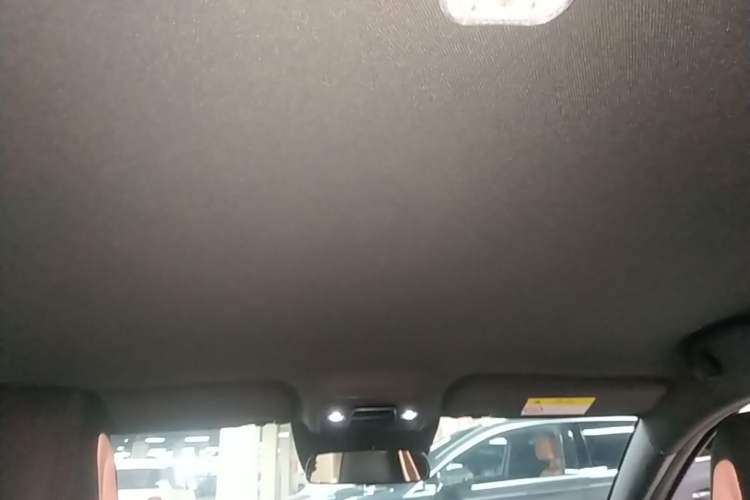Used BYD Seagull 2025 Smart Drive Version 305 km Freedom Edition Headliner