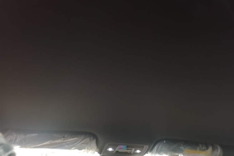 Used BYD Seagull 2025 Intelligent Driving Version 305 km Dynamic Edition Headliner