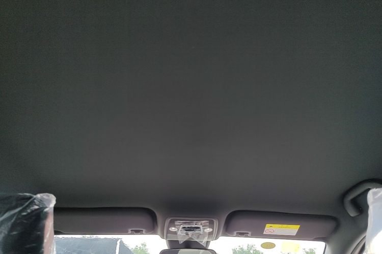 Used BYD Seagull 2025 Intelligent Driving Version 305 km Dynamic Edition Headliner