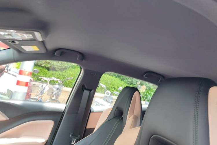 Used BYD Seagull 2025 Intelligent Driving Version 305 km Dynamic Edition Headliner
