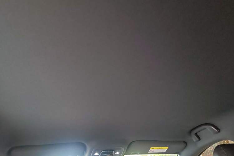 Used BYD Seagull 2025 Smart Drive Version 305 km Freedom Edition Headliner