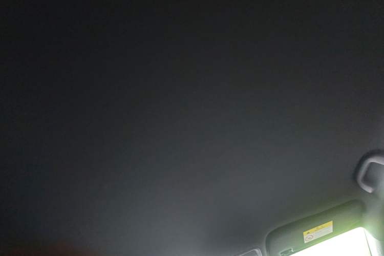 Used BYD Seagull 2025 Model Smart Drive Version 405km Free-Spirited Version Headliner