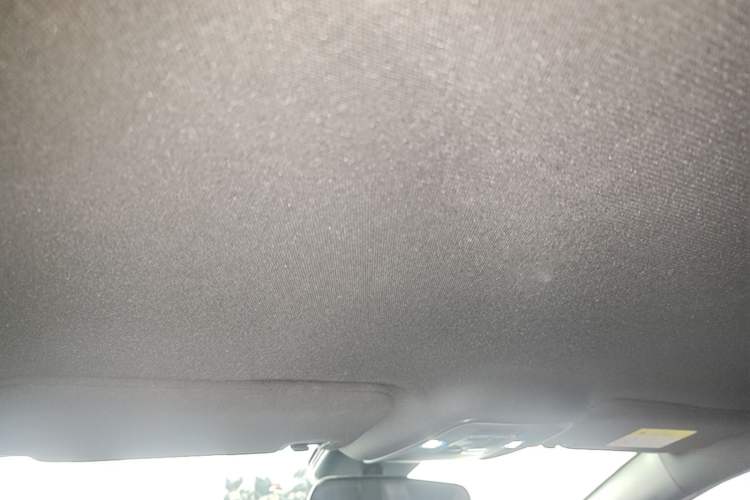 Used BYD Seagull 2025 Intelligent Driving Version 305 km Dynamic Edition Headliner
