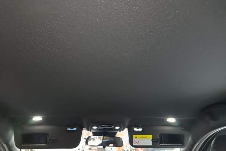 Used BYD Seagull 2025 Intelligent Driving Version 305 km Dynamic Edition Headliner