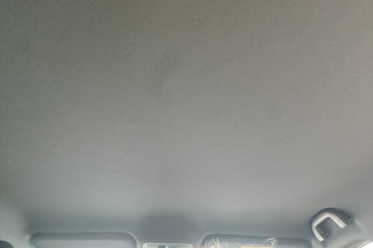 Used BYD Seagull 2025 Intelligent Driving Version 305 km Dynamic Edition Headliner
